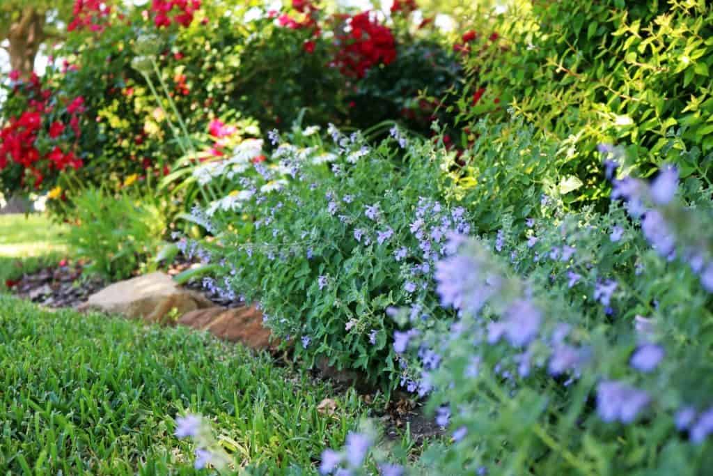 Professional landscape design and installation in North Texas