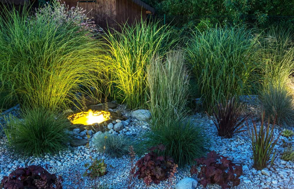 Custom LED landscape lighting installation
