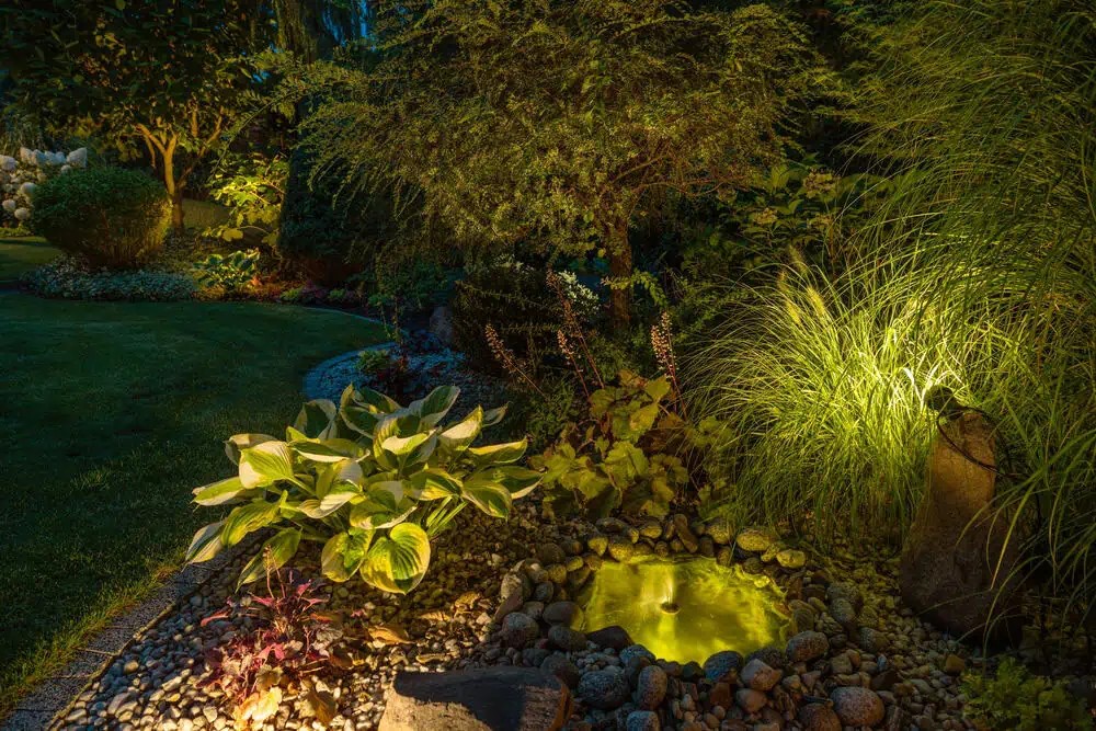 Outdoor lighting highlighting trees and architectural features