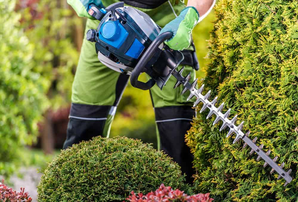 Professional lawn care and landscape maintenance in North Texas