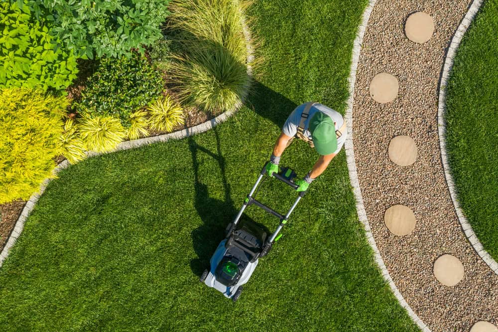 Routine lawn maintenance and care services